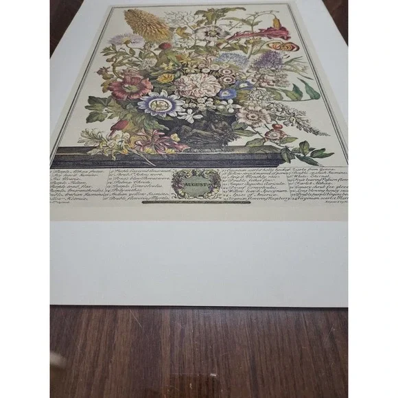 Rob Furber Gardiner At Kensington 1730 H. Fletcher "August" Month Of Flowers